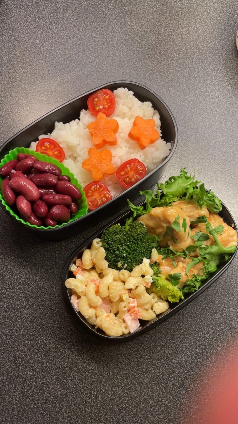 Customer photo review of Original Two Tier Bento Box | Sushi Neko (570mL)