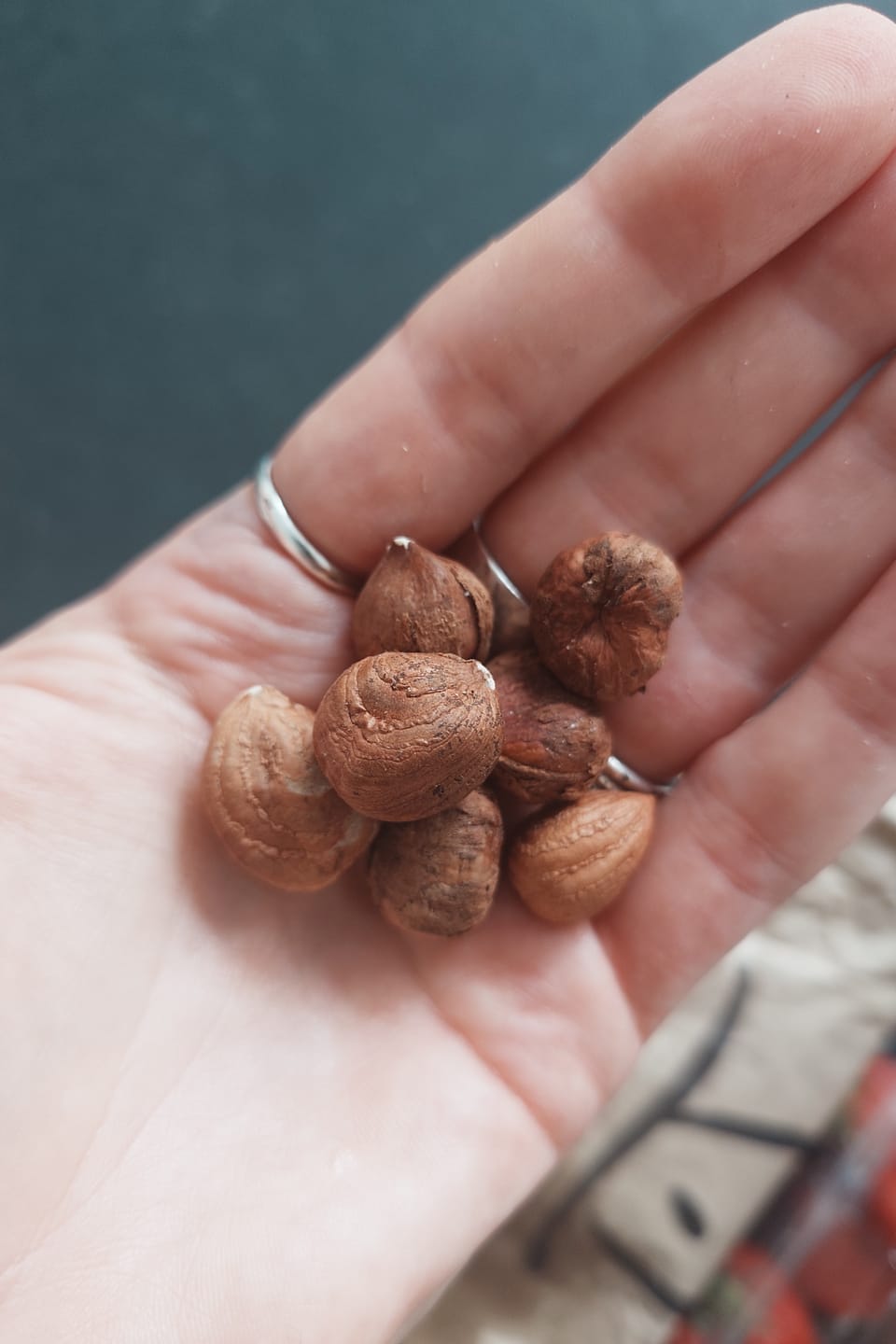 Customer photo review of Raw hazelnuts