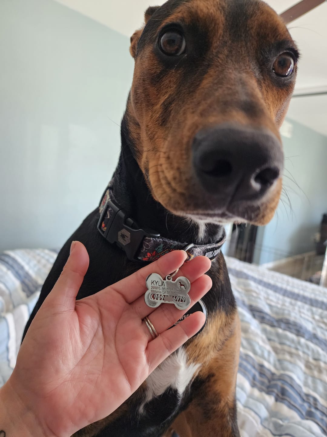 Customer photo review of Bone Dog Tag