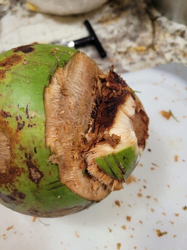 Customer photo review of Coconuts (Fresh)