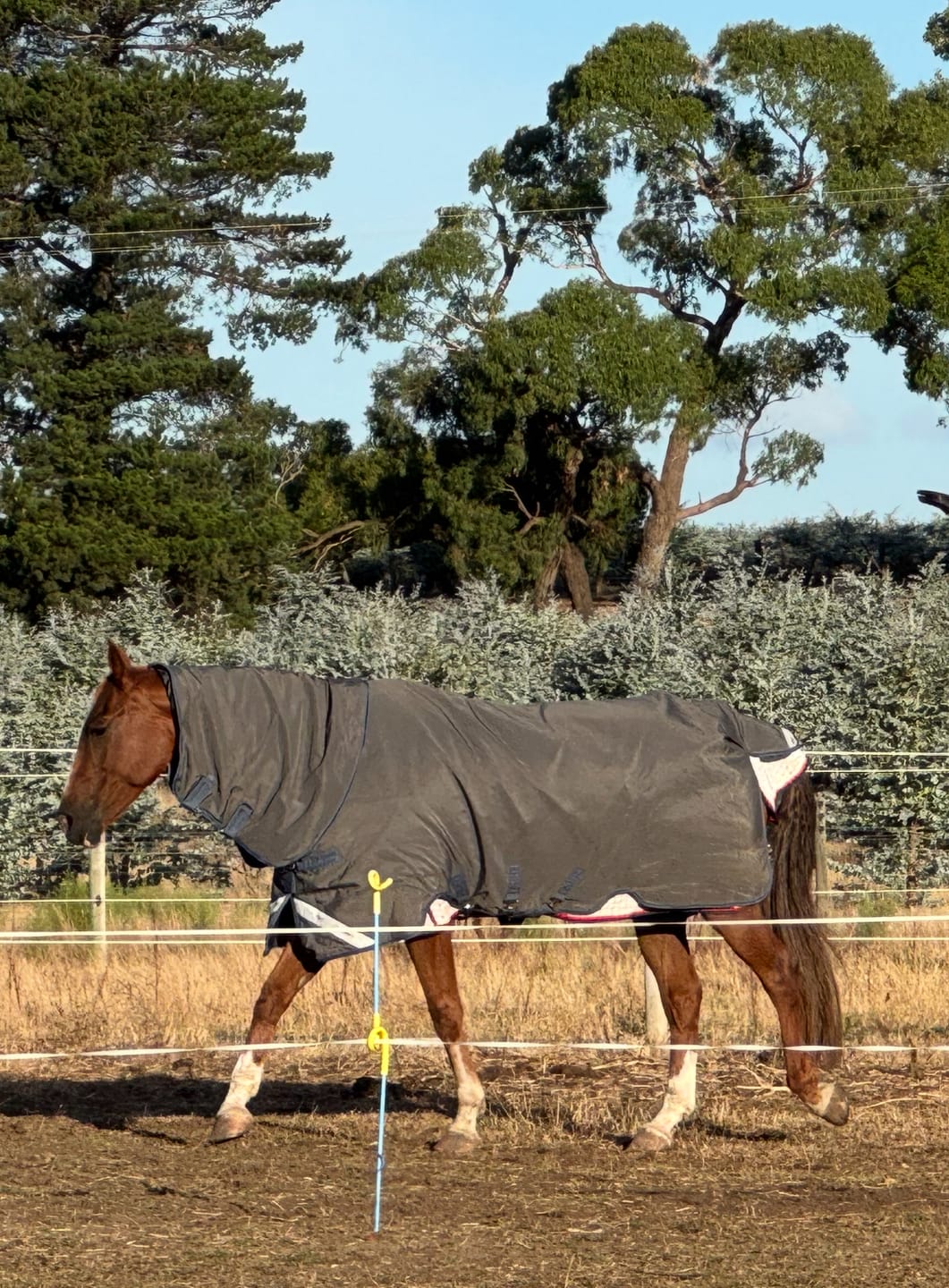 Customer photo review of Rhino Plus HexStop 100g