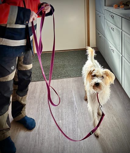 Customer photo review of Antislip Leash Rosa - Starkt antiglid koppel
