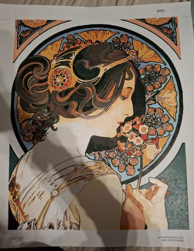 Customer photo review of Primrose - Paint by Numbers