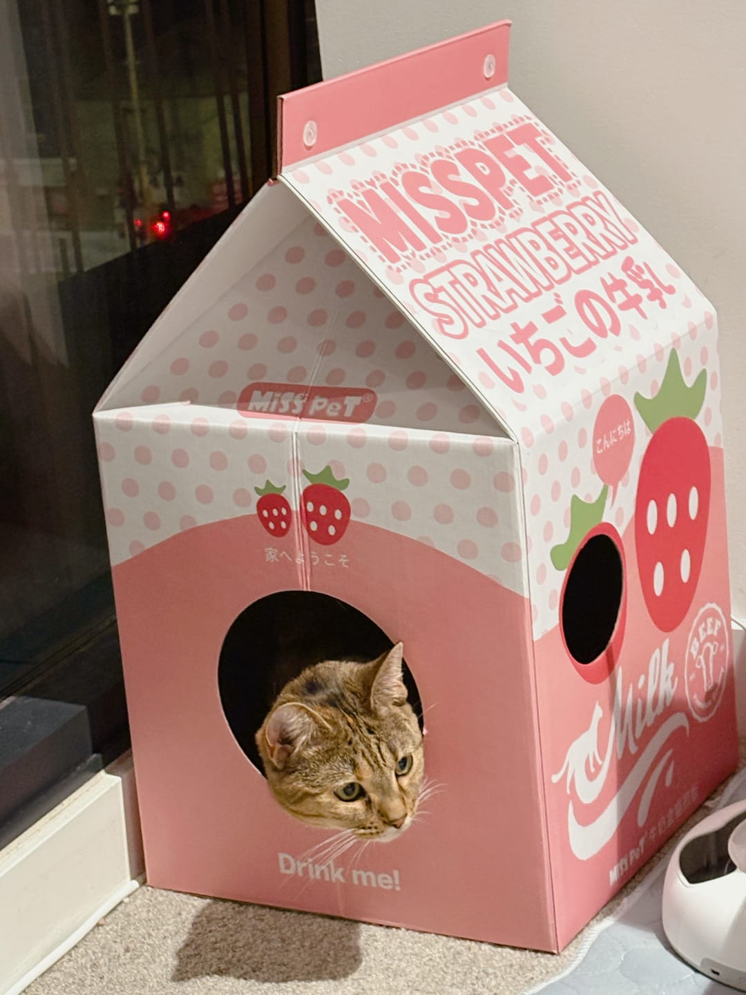 Customer photo review of Misspet Milk Box | Cat Scratcher and Nest