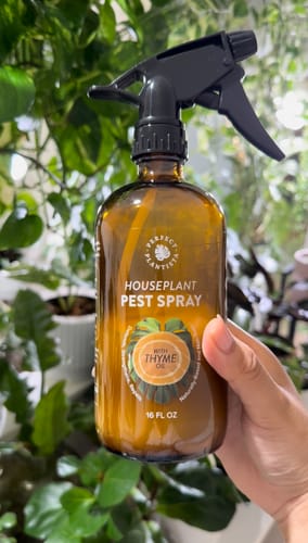 Customer photo review of Houseplant Pest Spray