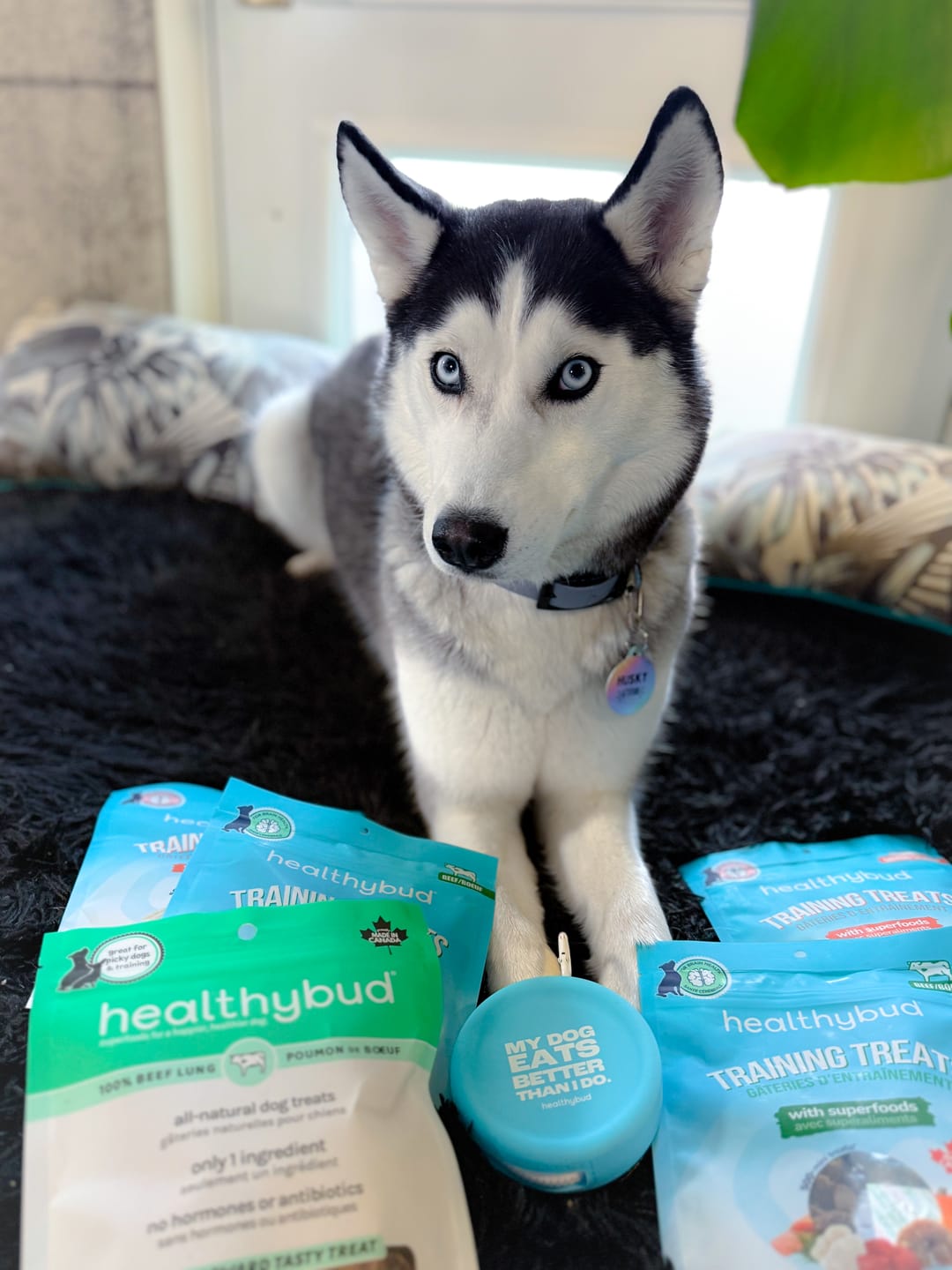 Customer photo review of Salmon Mini Training Treats