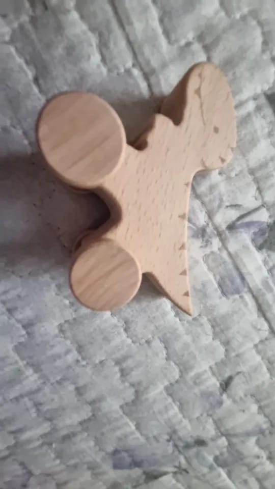 Customer photo review of Beech Wooden Dinosaur On Wheels