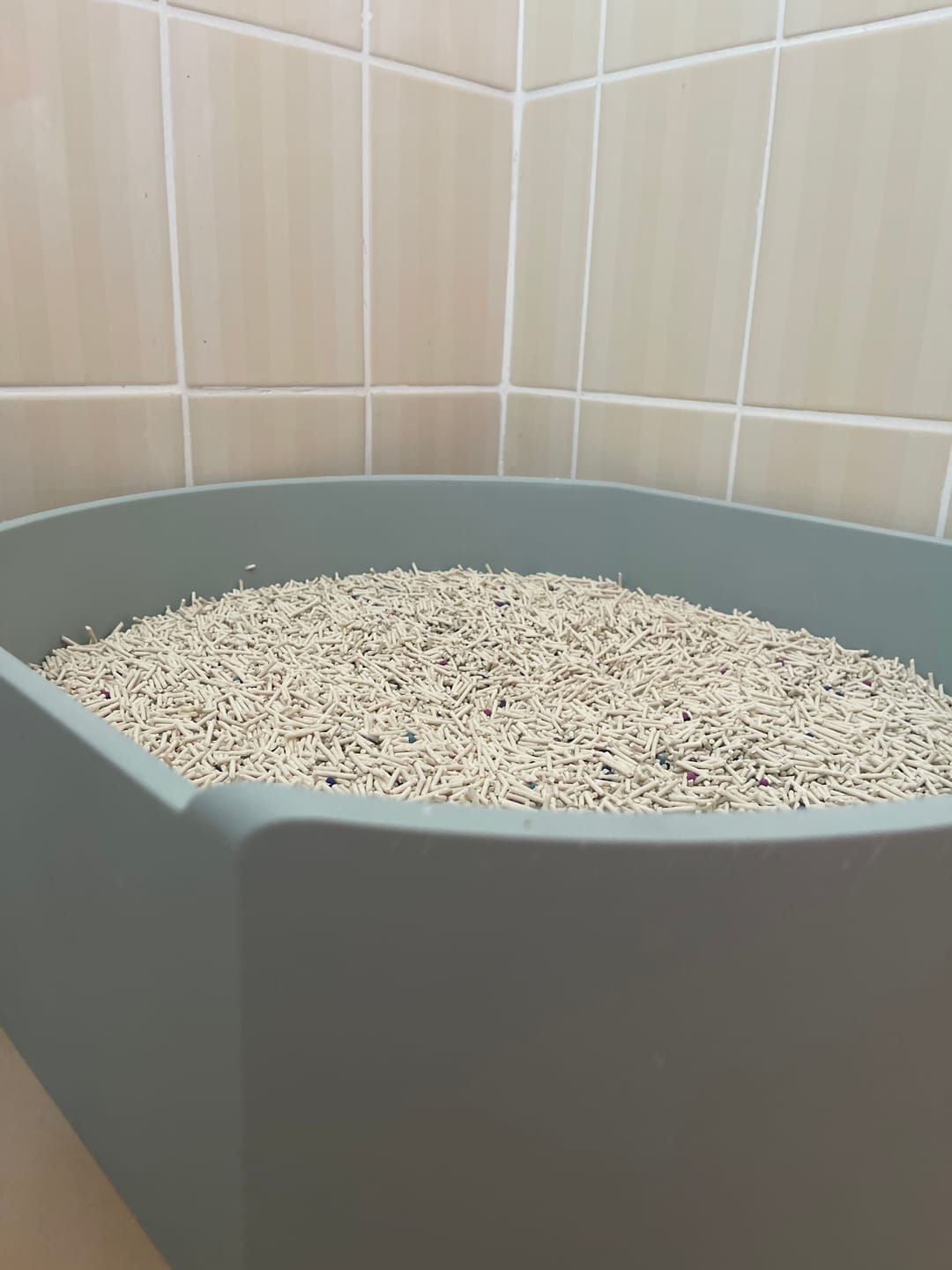 Customer photo review of Michu Premium Mixed Tofu Cat Litter Pro Gen2 6L- Superb in Flushable, Eco-Friendly & Odour-Control