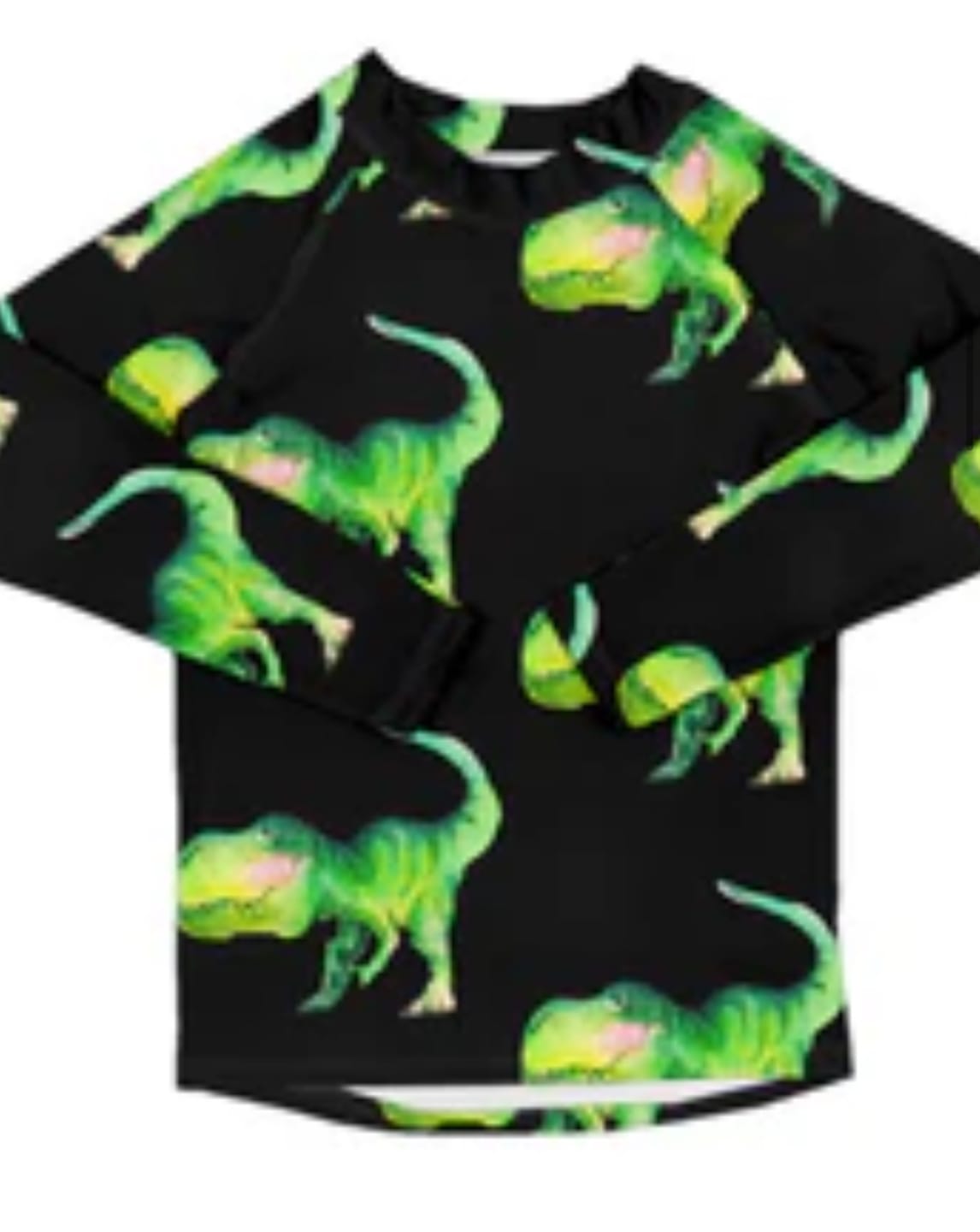 Customer photo review of Smiling Dinosaur Kids' Rash Top