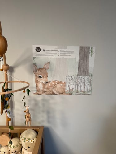 Customer photo review of Woodland Forest Animals Wallpaper Mural