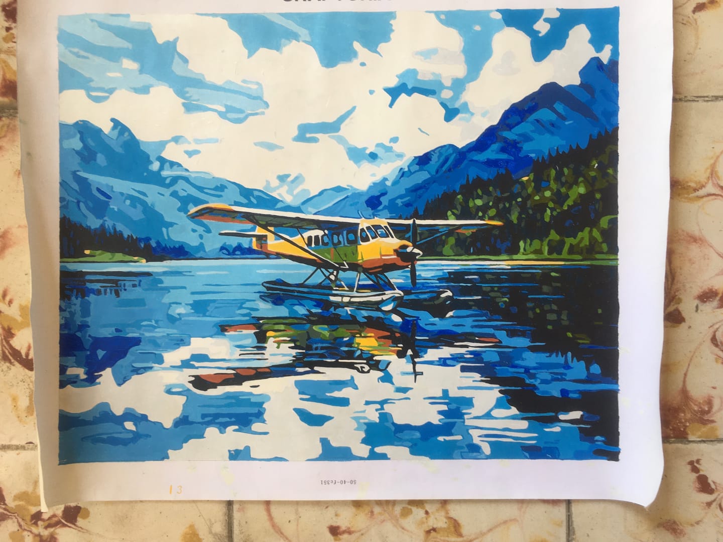 Customer photo review of Airplane Lake Landing