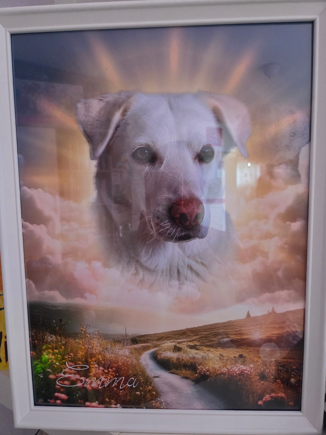 Customer photo review of Personalisiertes Portrait - Sonnen Stil