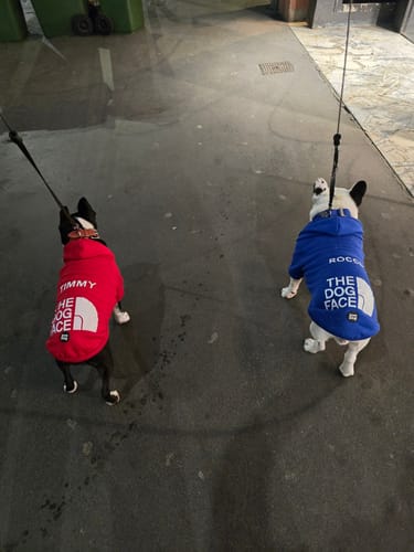 Customer photo review of Felpa "The Dog Face" Rossa Personalizzabile con nome