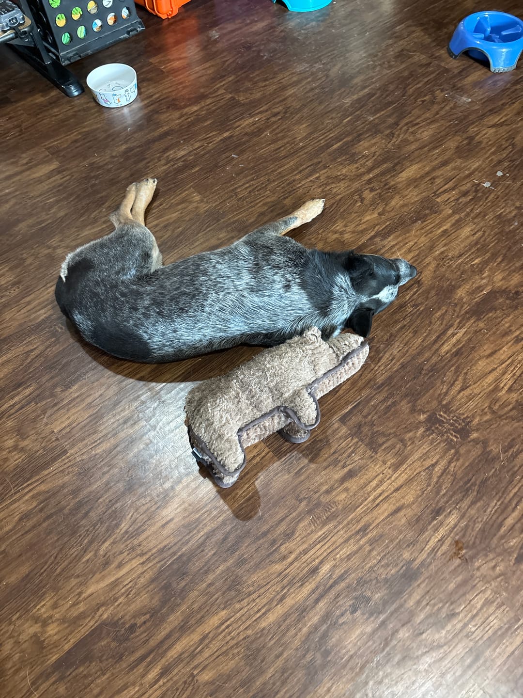 Customer photo review of Tough Plush - Triple Stitch