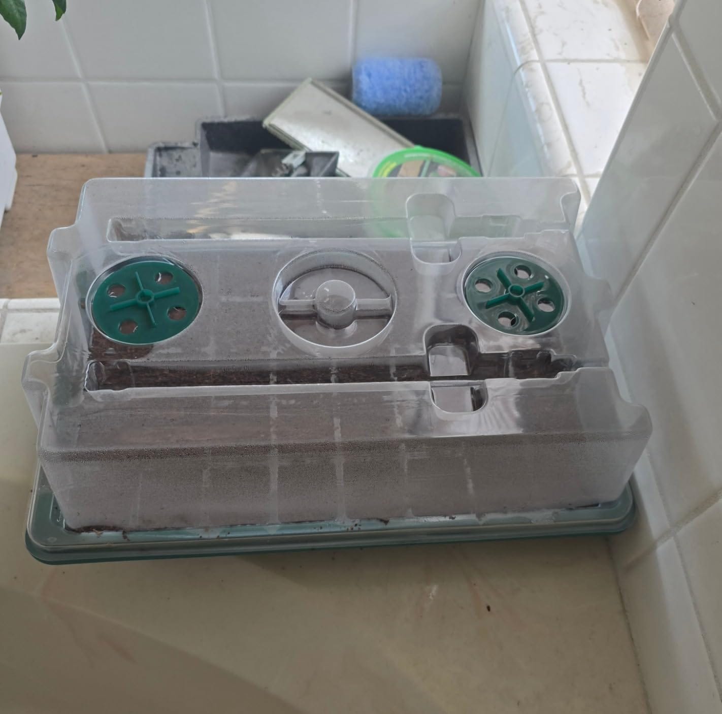 Customer photo review of Seed Starter Kit