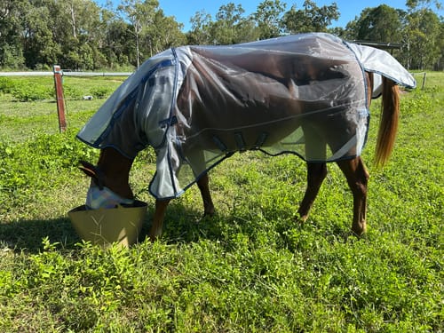 Customer photo review of LE Defender Anti-Insect Rug