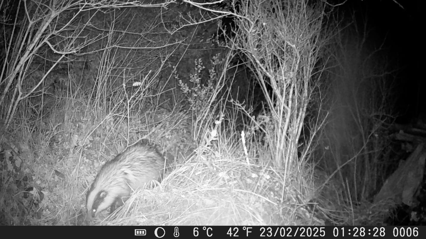 Customer photo review of Caméra Animaux | Observation Faune & Surveillance HD 50MP 4K