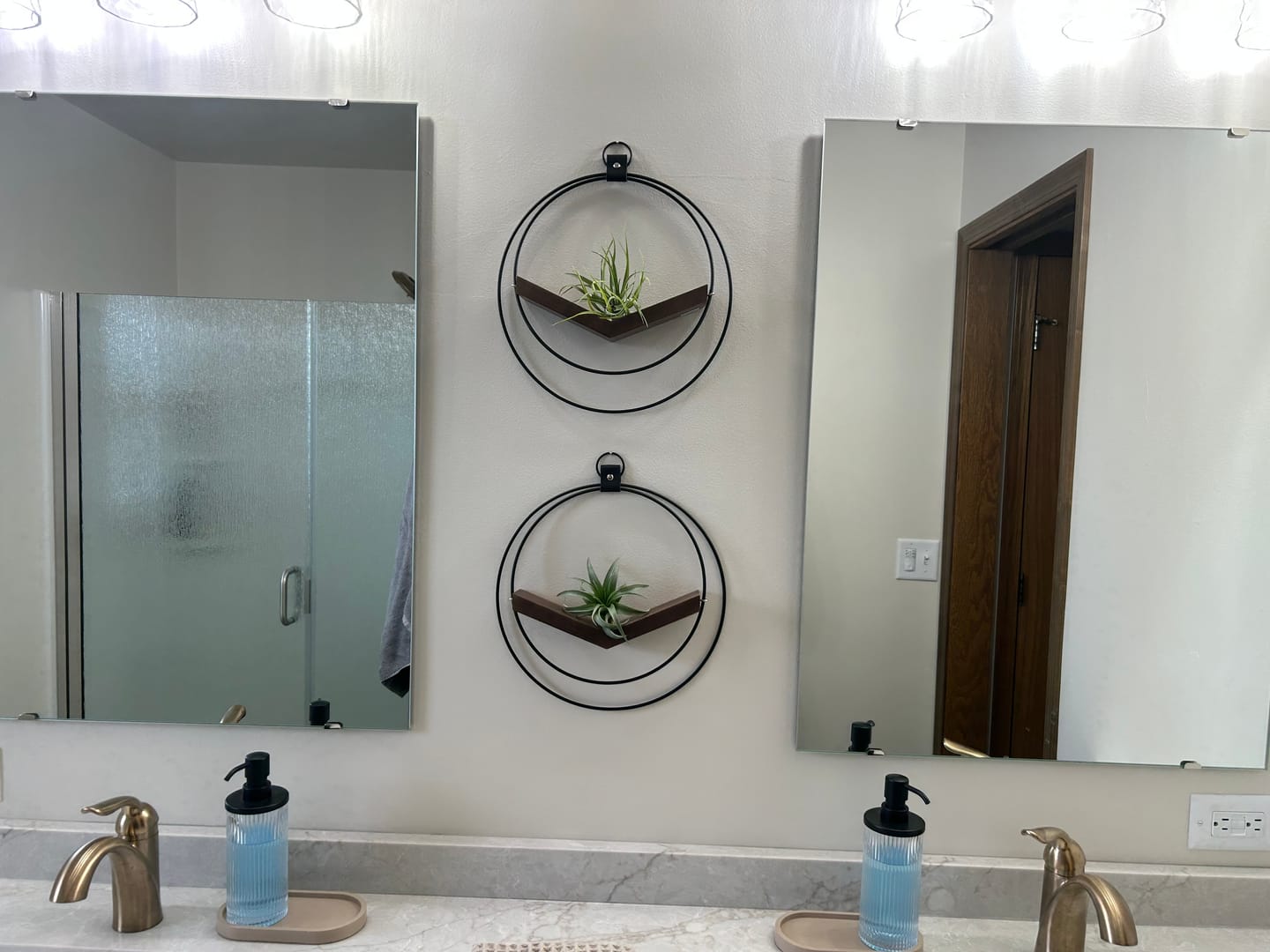 Customer photo review of Air Plant V-Hanger Duo