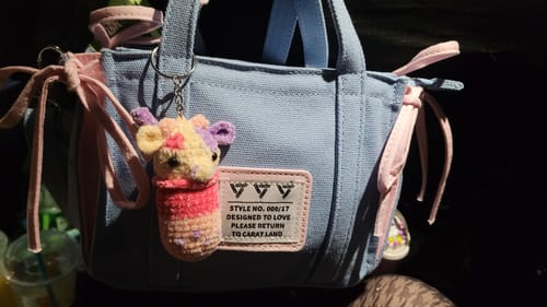 Customer photo review of CaratLand Mini Tote [PRE-ORDER]
