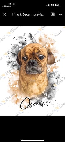 Tanith O. review of Your Pet as Watercolor Portrait image 1 out of 1
