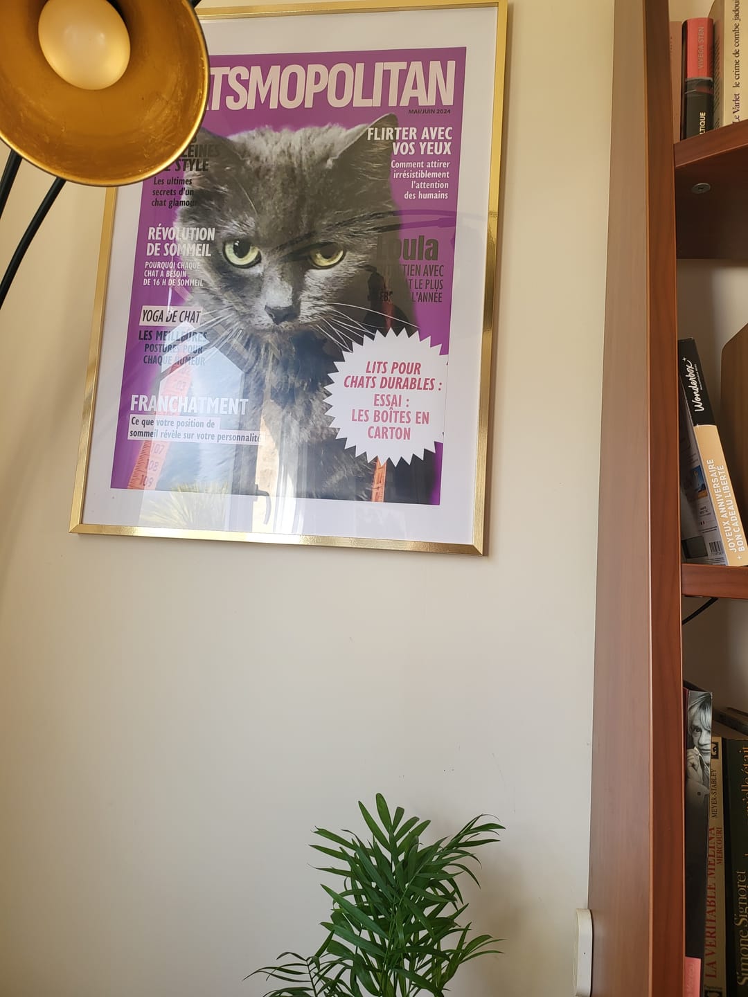 Customer photo review of Catsmopolitan - Poster personnalisé
