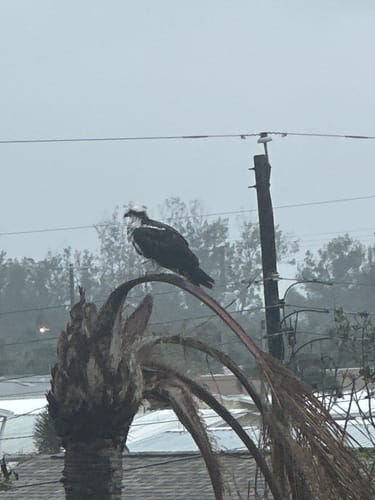 Customer photo review of ZE™ Force Smartwatch – Power Your Day, Track Your Way