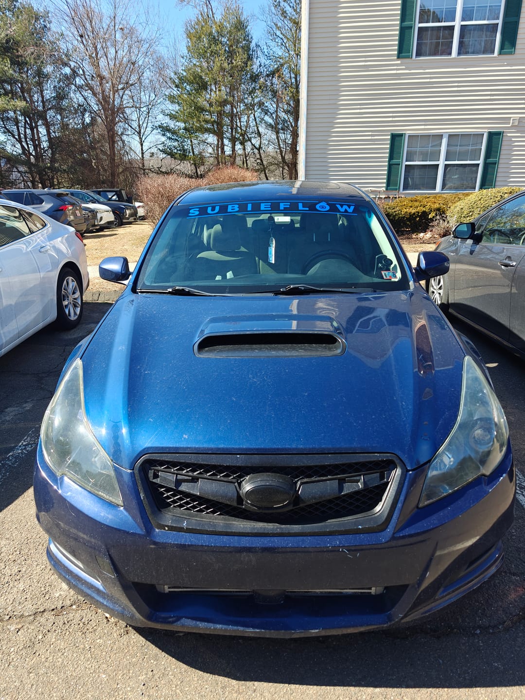 Customer photo review of SubieFlow Windshield Banners