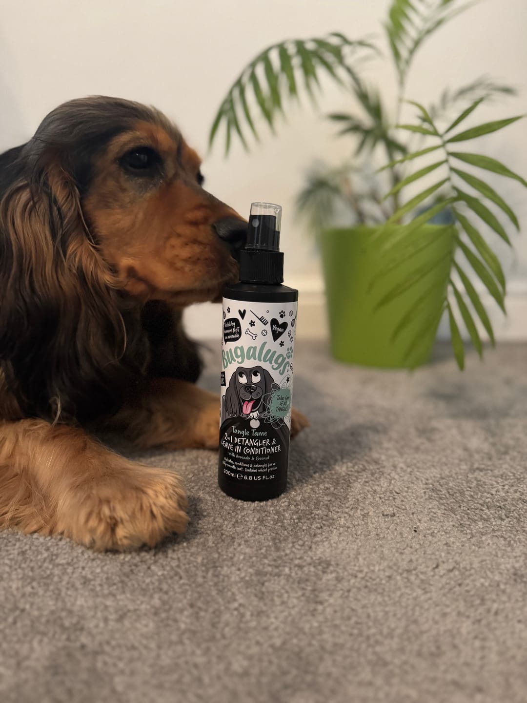 Customer photo review of 2 in 1 Detangler & Leave in Conditioner with Avocado & Coconut for Dogs