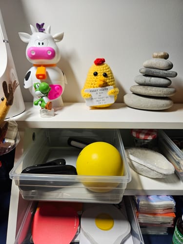 Customer photo review of POULET POSITIF