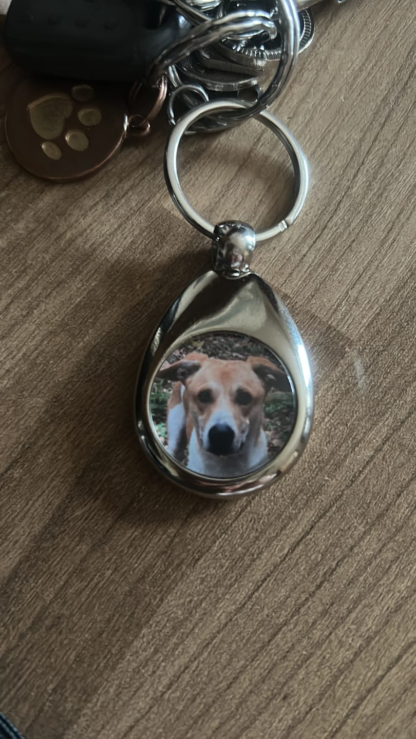 Customer photo review of Schlüsselanhänger mit Hundefoto