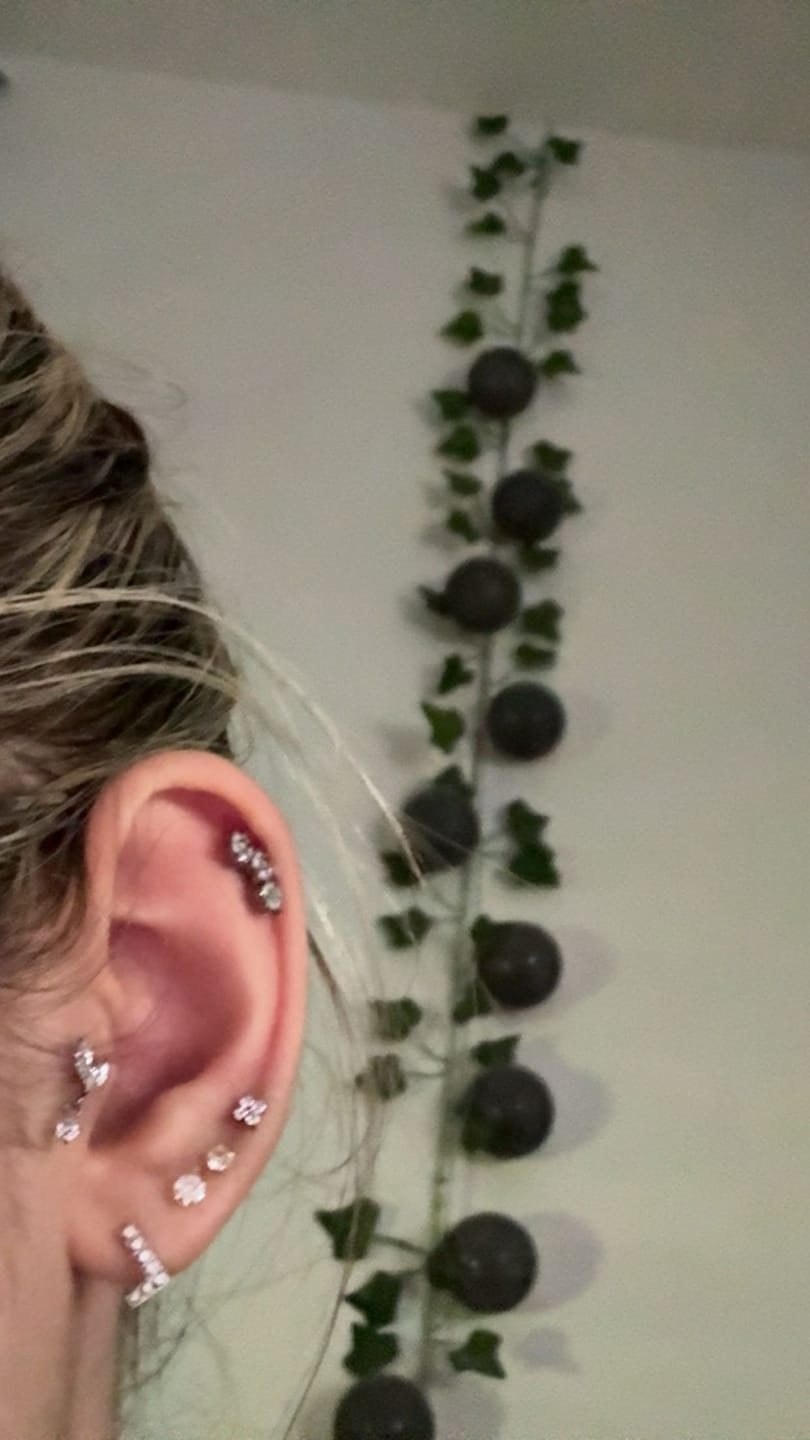 Customer photo review of Fleur Piercing | Titan