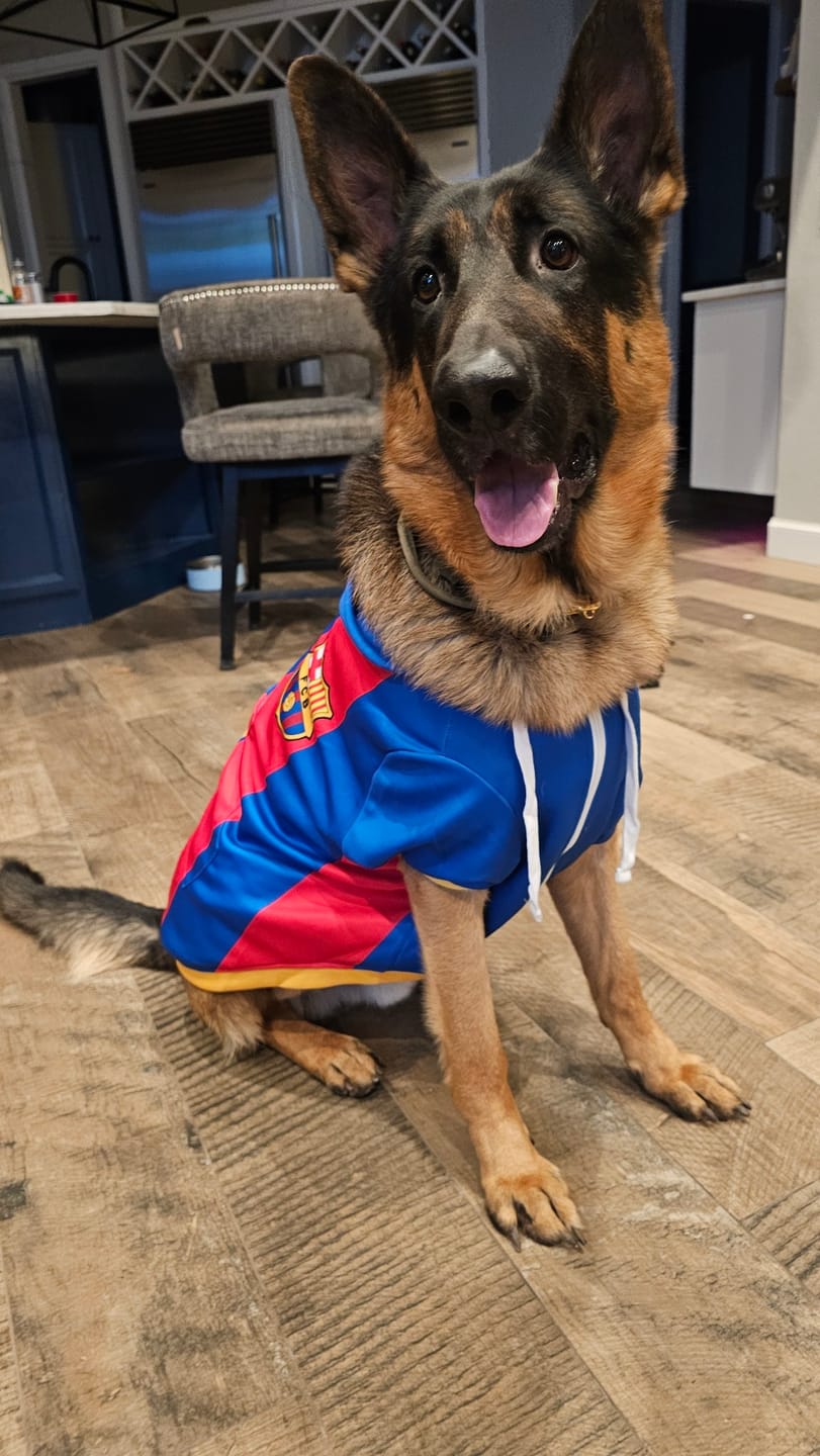 Customer photo review of FC Barcelona Dog Hoodie