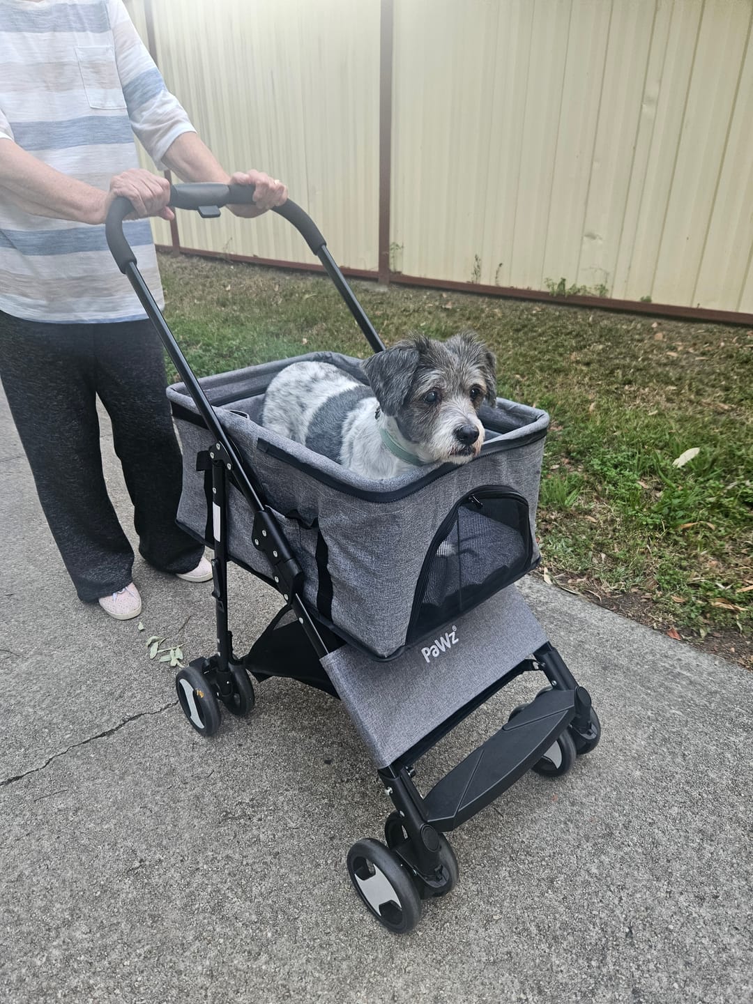 Customer photo review of PaWz Large Dog Stroller Cruiser