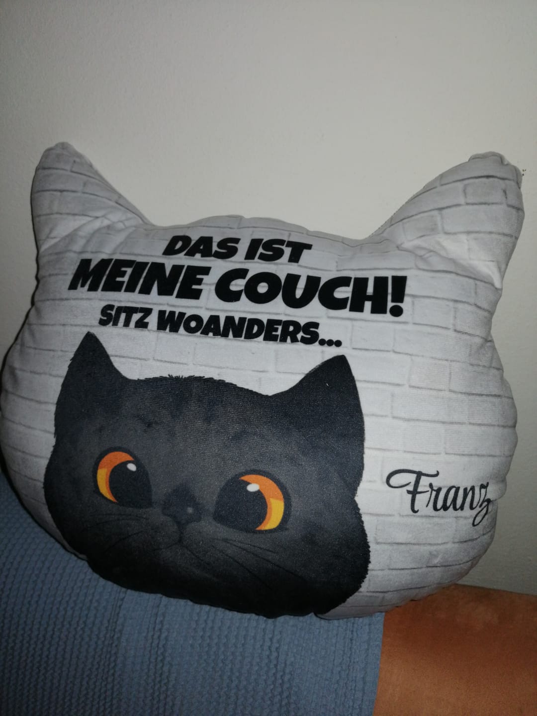 Customer photo review of Unsere Couch - Individuelles Formkissen