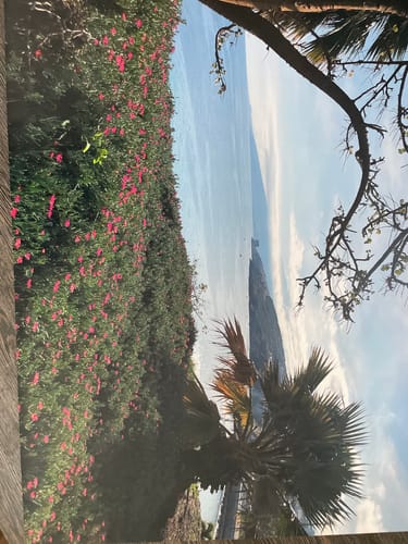 Customer photo review of Plane inkl. Druck