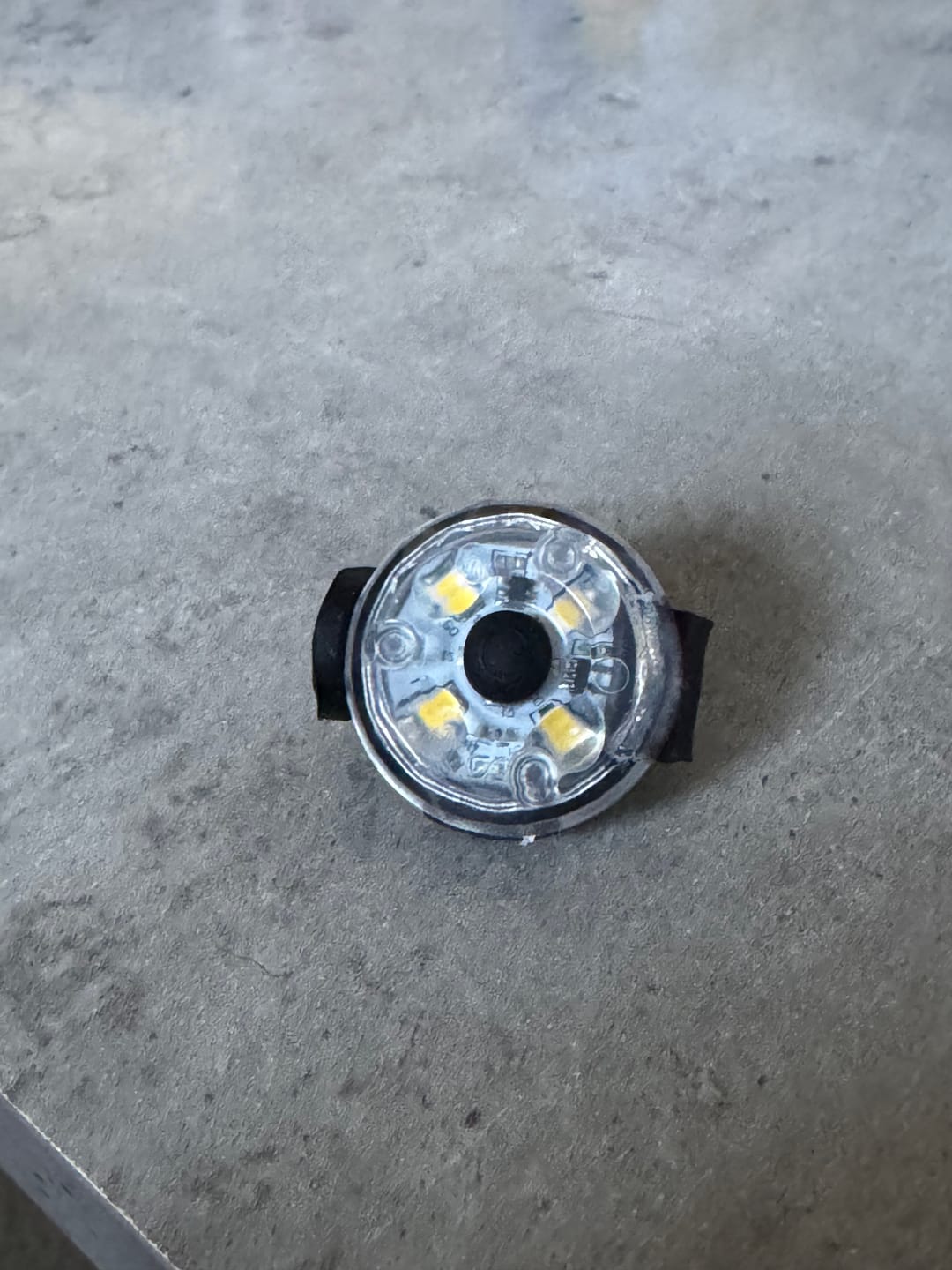 Customer photo review of Staffordshire Bull Terrier 1935® Light
