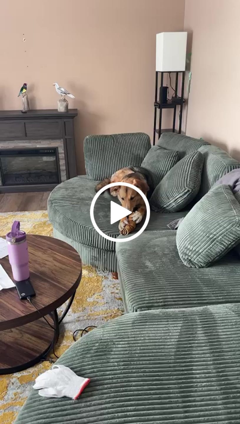 Customer video review of 10-12 Inch Peanut Butter Cheek Roll