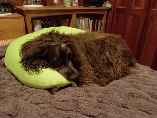 undefined review of Rare Comfort Bundle image 1 out of 1