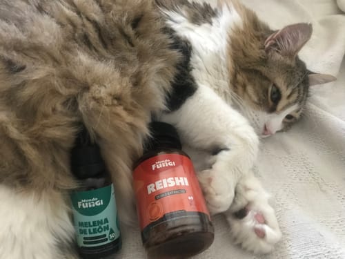 Customer photo review of Pack team estrés, ansiedad y depresión