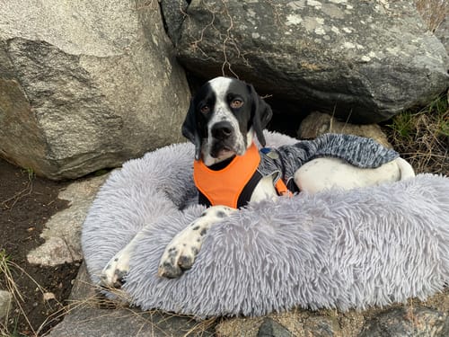 Customer photo review of CalmBed - Motverkar stress & hjälper mot ångest