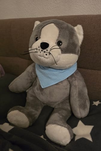 Customer photo review of Lotgenootje Kat 2kg