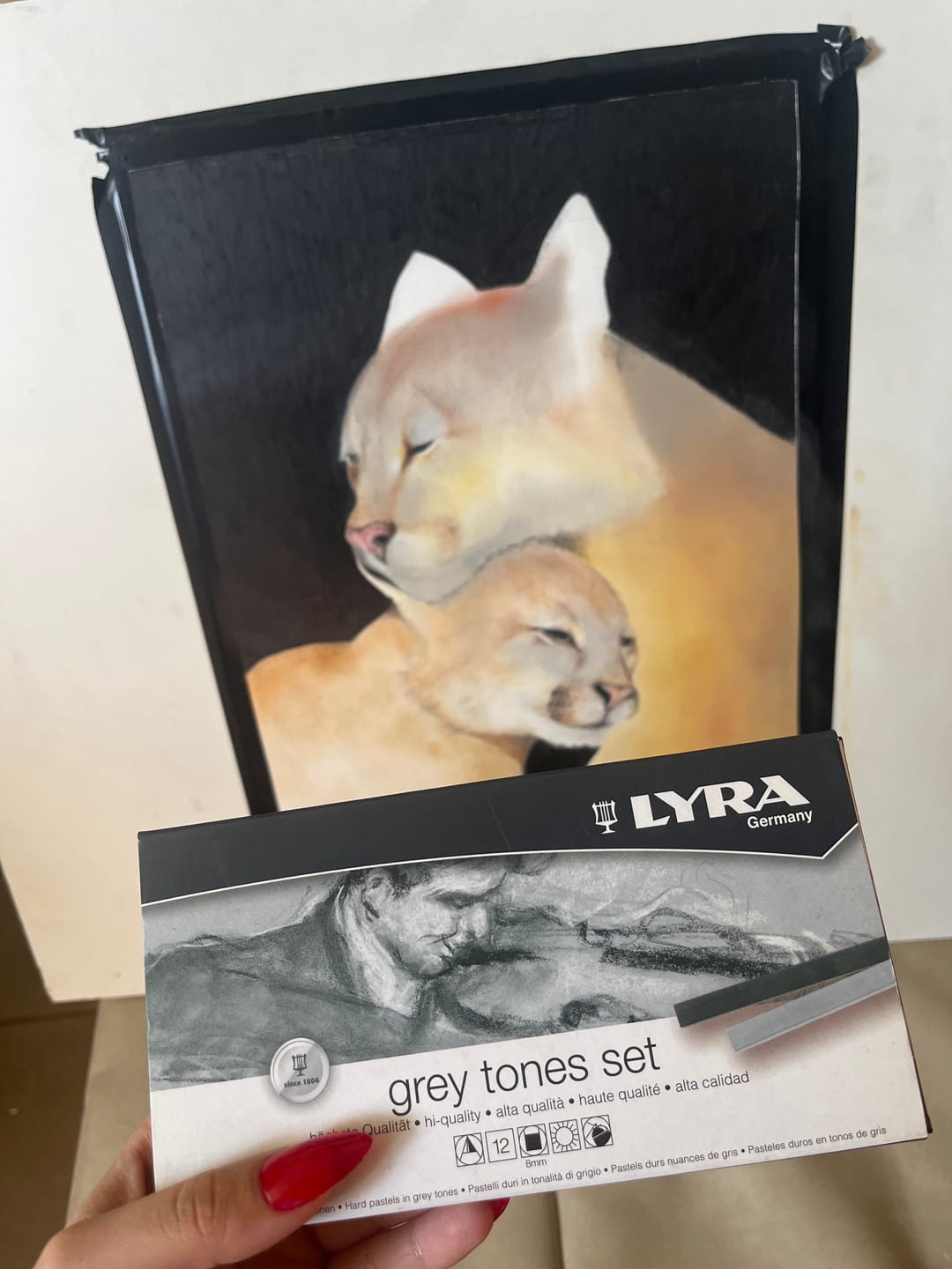 Customer photo review of Lyra - Set 12 Pasteles Gray Tones Duros