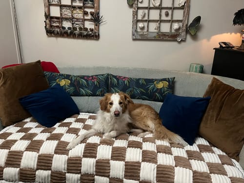 Customer photo review of NEW Plush Furniture Protector Couch Cover