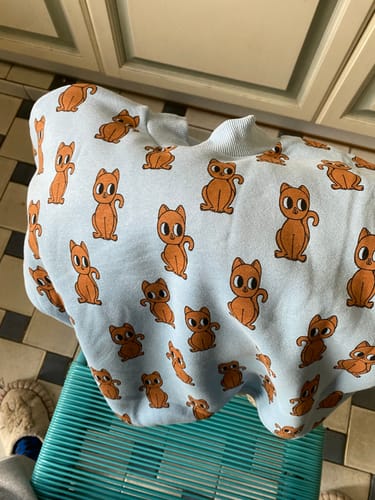 Customer photo review of CURIOUS KITTEN BLUE SET