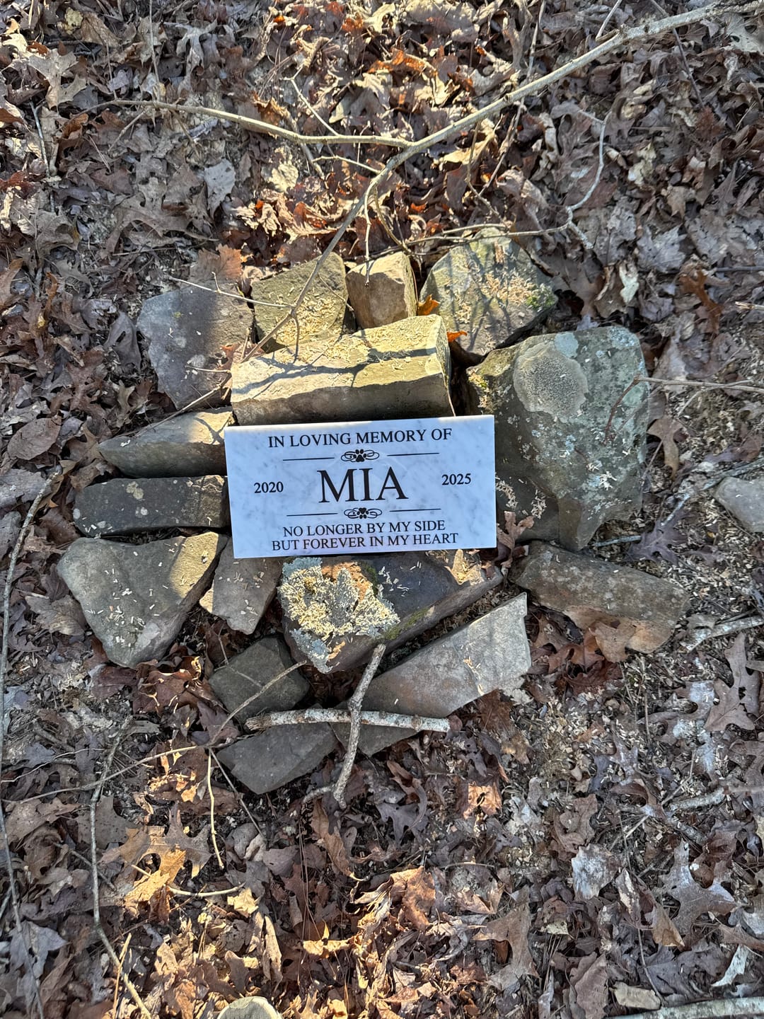 Customer photo review of Pet headstones, Grave Marker, Custom Outdoor Engraved Pet Stone In Loving Memory