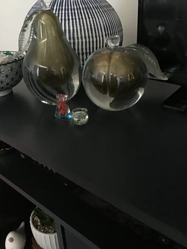 Customer photo review of Tiny Fish Bowl 253