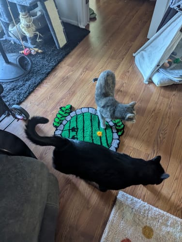 Customer photo review of Tuft Love Group Tufting Classes (Superior, CO)