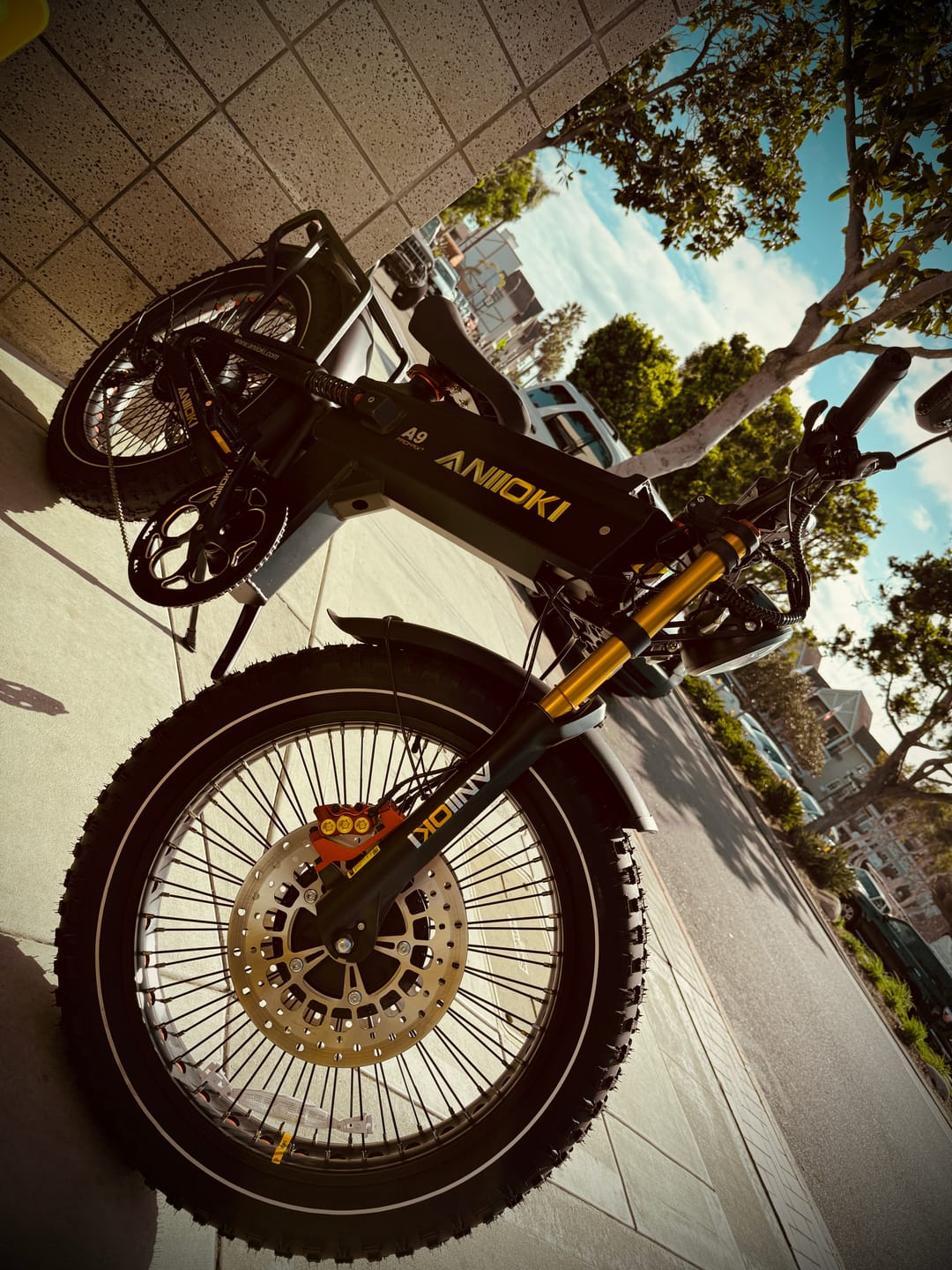 Customer photo review of 2025 Version A9 Pro Max 60V Dual Motor Ebike