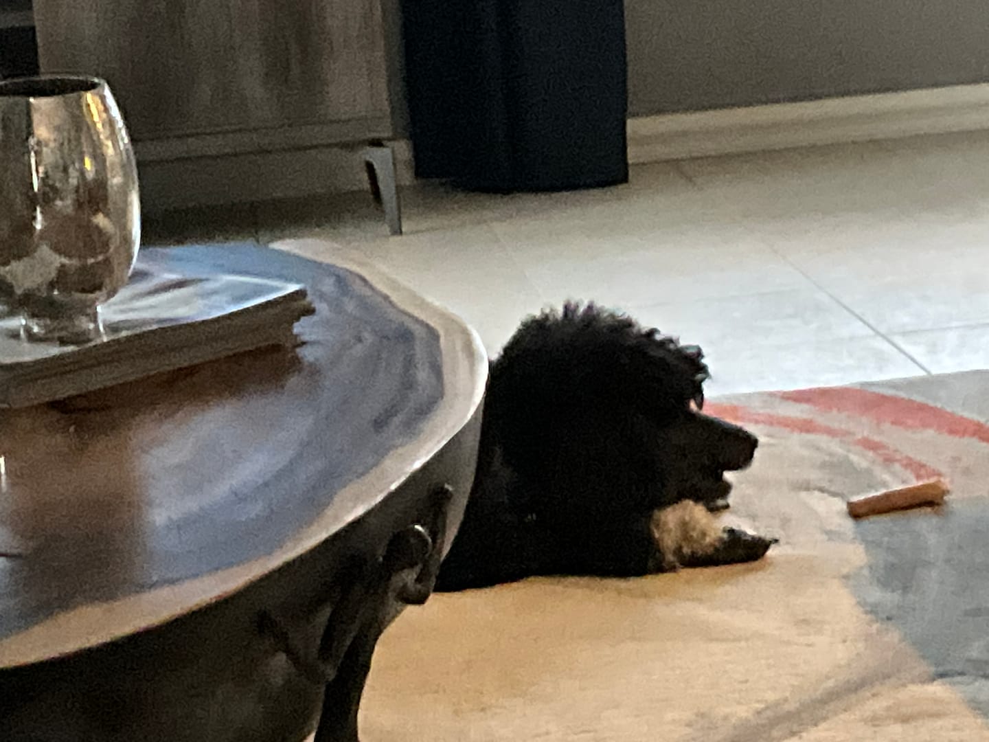 Customer photo review of 6 Inch Power Bully Sticks