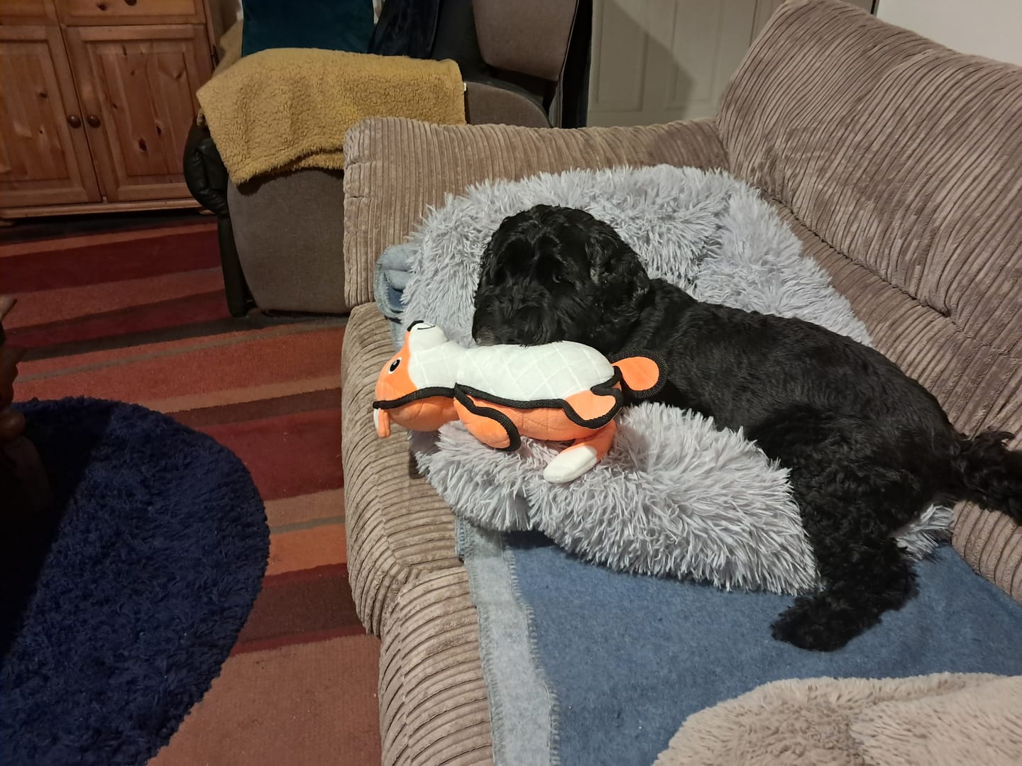 Customer photo review of Welsh Lamb Dry Food